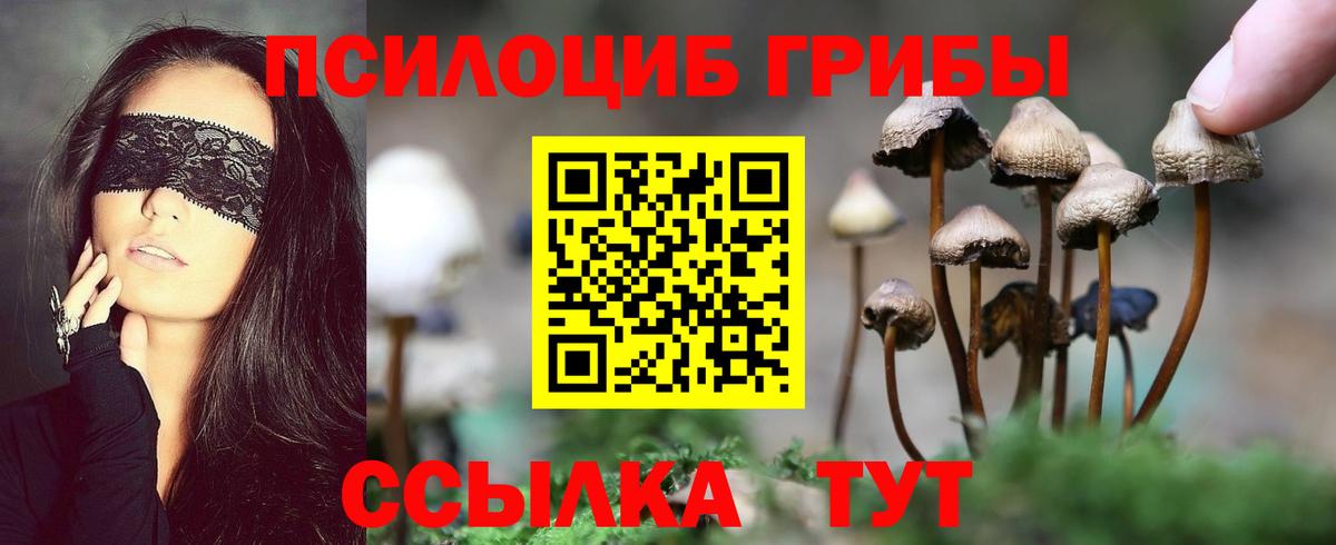 Галлюциногенные грибы MAGIC MUSHROOMS Луга